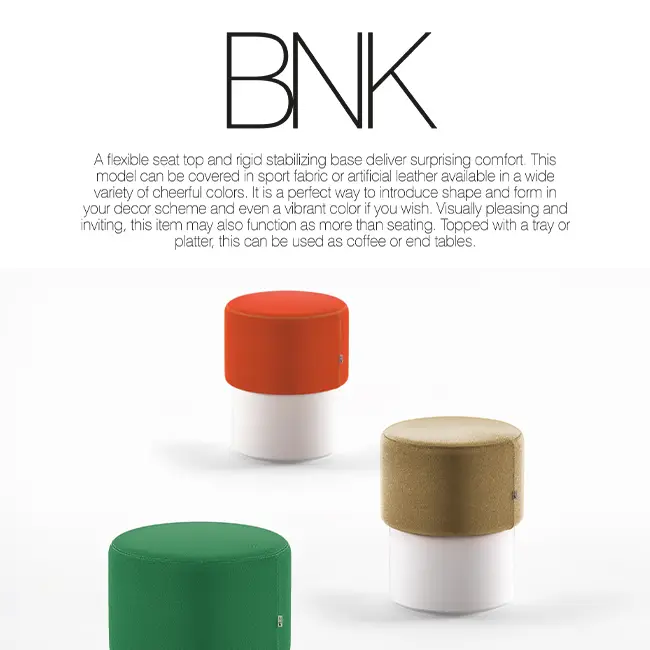 بروشور تخصصی BNK