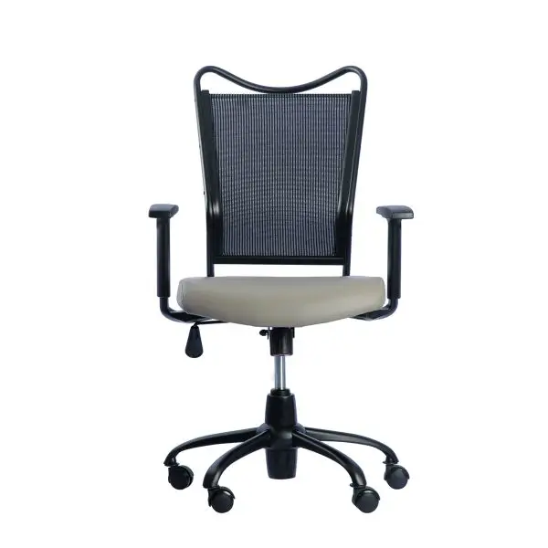 صندلی کارشناسی TBE کد 172