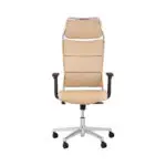 خرید صندلی مدیریتی DCM