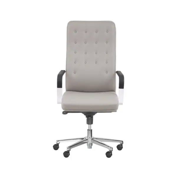 خرید صندلی مدیریتی LSM